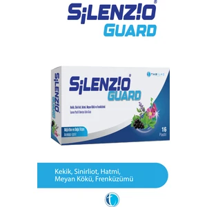 PASTIL GUARD 16 PASTIL