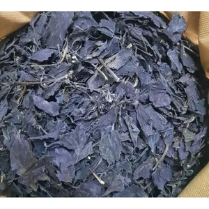 Doğa Nimeti Mor Reyhan 100 gr Yüksek Aromalı (Doğal Kurutulmuş Yeni Mahsül) Mor Reyhan, Yabani Fesleğen