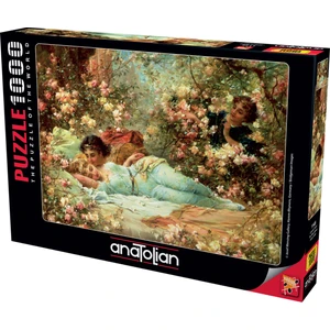 1000 Parçalık Puzzle - Uyuyan Güzel 1145