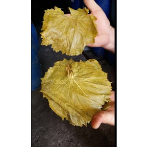 Yaprak Tokat Erbaa Altınseri 1kg Vakumlu