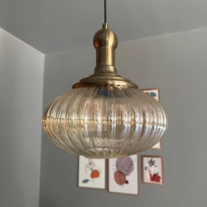 Elegant Cam Tekli Bal Rengi Avize Eskitme Long Knob Başlık Sarkıt Lamba Restoran Salon Aydınlatma