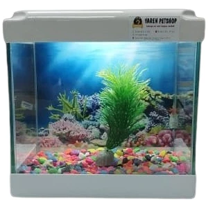 Yaren LED Işıklı Mini Akvaryum