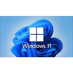 Windows 11 Pro Lisans Anahtarı