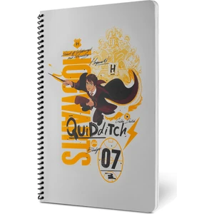 Harry Potter Quidditch Spiralli Defter