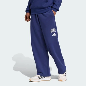 Adidas Sportswear JM9179 Collegiate Pant