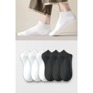 Bilek Boy Pamuklu Patik Çorap Unisex 6 Çift