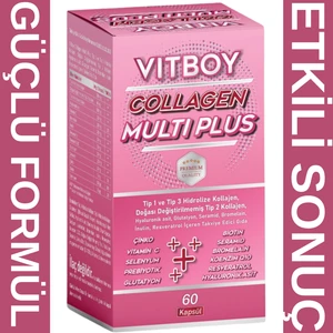 Hidrolize Kolajen Multi Plus Tip 1,2,3 Prebiyotik,Bromelain,Glutatyon,Seramid 60 Kapsül