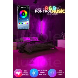Led Abajur Aplik Gece Lambası Rgb Lambader 256  Renkli Bluetooth Işık ios/android