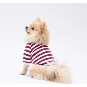 Piglet Kedi Köpek Sweati - Kedi Köpek Kıyafeti