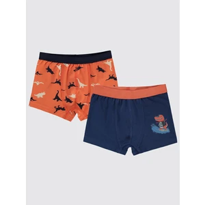 Civil Boys Erkek Çocuk 2'li Boxer Set 2-10 Yaş Turuncu