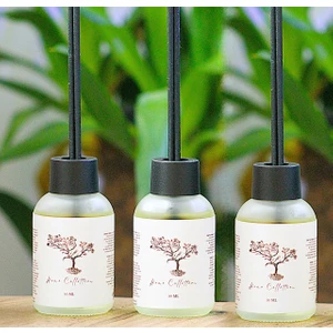 3'lü Şişe Banyo Tuvalet Kokusu Koku Giderici Mango Odunsu Okyanus 3 x 50 ml