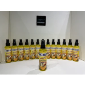 Ice&haze Araç Oda ve Ofis Sprey Koku Kavun 170 ml