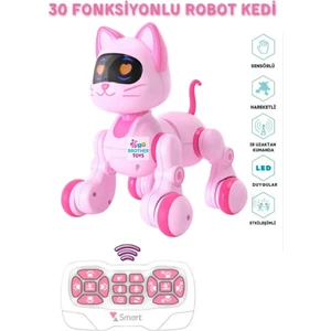 Brother Toys Uzaktan Kumandalı 30 Fonksiyon Akıllı Interaktif Öğretici Robot Kedi Oyuncak