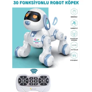 Brother Toys Uzaktan Kumandalı 30 Fonksiyon Akıllı Interaktif Öğretici Robot Köpek Oyuncak