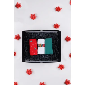 Kadın 3'lü Pamuklu Basic Külot