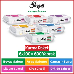 Easy Clean Yüzey Temizlik Havlusu & Mendili 6X100 Karma Paket