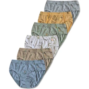 %100 Pamuk Erkek Çocuk Slip Külot Iç Çamaşır 6lı Set