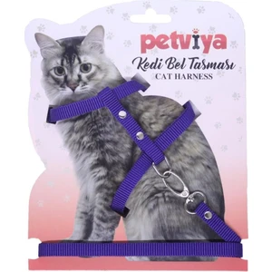 Kedi Gögüs (Bel) Tasmasi Mor
