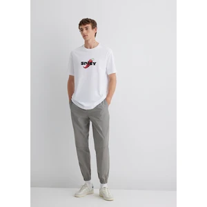 Gri PANTOLON0010272-70117