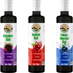 İrfan Bakliyat Kızıkcık Özü 700 gr karadut özü 700 Gr yaban mersini özü 700 Gr 