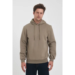 3 Ip Şardonlu Kapuşonlu Cepsiz Sweatshirt RD24KE054902