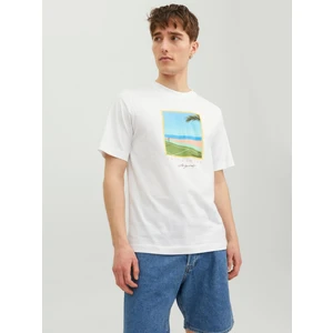 Jack & Jones Jortulum Landscape Tee Ss Crew Neck Erkek T-Shirt