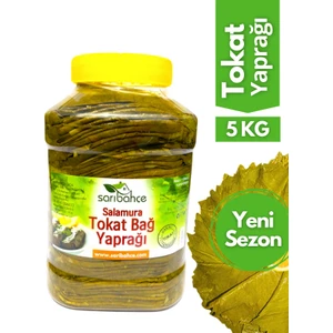 Tokat Asma Yaprağı 5 kg