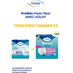 Proskin Pants Maxi Emici Külot, Büyük Boy (L), 8 Damla, 10'Lu 4 Paket 40 Adet