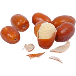 Karacalar Kuruyemiş Iğde  1 kg