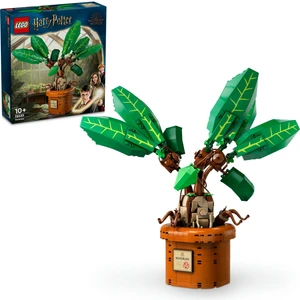LEGO® Harry Potter™ Adamotu 76433 - 10 Yaş & Üzeri Çocuklar için Yaratıcı Oyuncak Yapım Seti (579 Parça)