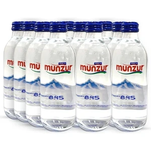 Su Cam Şişe 330 ml 12'li