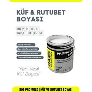 Küf ve Rutubet Önleyici, İç ve Dış Cephe, Duvar Boyası