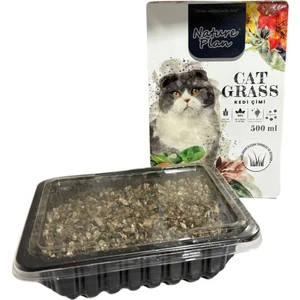 Nature Plan Kedi Çimi 500ML