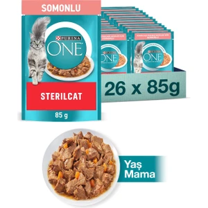 Purına One Pouch Kısır Somon & Havuçlu Kedi Yaş Mama 85 gr - 26 A