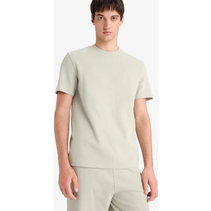 Regular Fit Bisiklet Yaka Kısa Kollu Pamuklu Ağır Kumaş Tişört E2587AX25SM