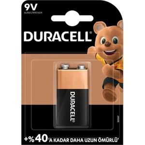Alkalin 9 Volt Pil 6LR61/MN1604