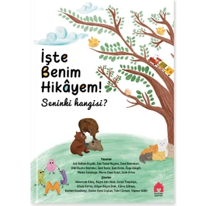 Işte Benim Hikayem : Seninki Hangisi