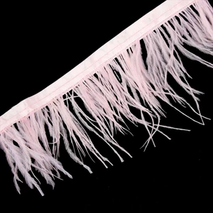 Turgut Brode Devekuşu Tüyü