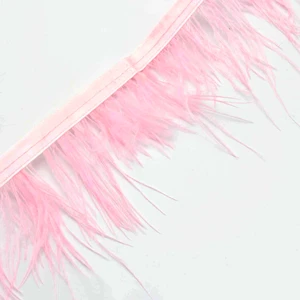 Turgut Brode Devekuşu Tüyü