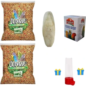 Muhabbet Kuşu Yemi 500 gr X2 Adet + Kalamar Kemiği+ Gaga Taşı Avantaj Paketi (Suluk Hediyeli)