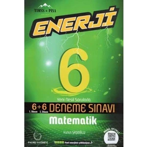 Palme Yayıncılık 6. Sınıf Enerji 6-6 Matematik Sınavı