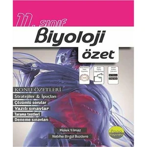 Pano Yayınları 11. Sınıf Biyoloji Özet