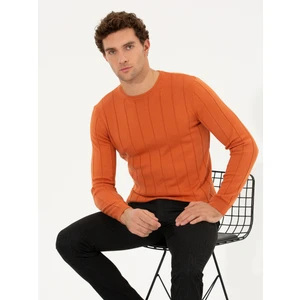 Erkek Kiremit Slim Fit Bisiklet Yaka Triko Kazak 50257389-VR031 * Desenli Pamuk Karışımlı Regular Fit Erkek Triko Kazak<br><br>* Kış Kombinlerinizi Tek Dokunuşla Çok Daha Şık Bir Görünüme Kavuşturacak Pamuk Karışımlı Erkek Triko Kazak Modelimiz 
ince Dikine Çizgili Desenlidir.<br>* Geniş Kesimi Sayesinde Konfor Alanını Daraltmayan, Kahvenin En Sıcak Tonunu Tasarımında Taşıyan Regular Fit Erkek Triko Kazak 
modelimiz Dilerseniz Ceketlerle De Giyebileceğiniz Bisiklet Yaka Formuyla Öne Çıkar.