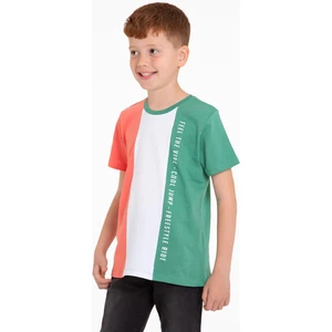 Bisiklet Yaka Kısa Kol Çift Renkli Çağla Yeşil Renk Erkek Çocuk Tshirt