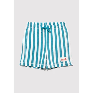 Çizgili Mavi Şort 6410012-89718