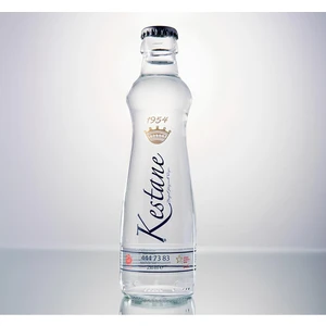 Kestane Doğal Kaynak Suyu Su Cam Şişe 330 ml   20 Adet