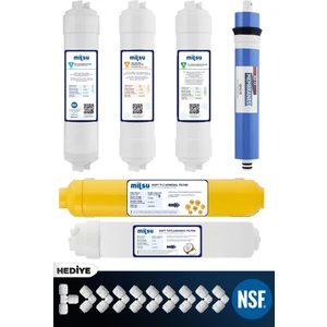 Kapalı Kasa Su Arıtma Cihazı Multi Mineral 6lı Filtresi Standart Membran Set