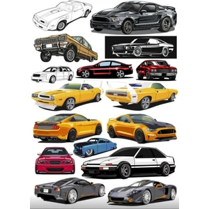 Hızlı Arabalar Sticker Set