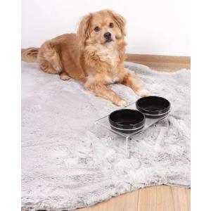Kedi ve Köpek Dekoratif 2'li Seramik Pleksi Mama & Su Kabı+ Paspas