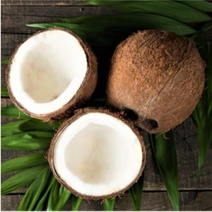 Hindistan Cevizi (Adet)